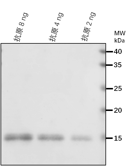 Anti-VTC2/ GDP-L-galactose phosphorylase 1