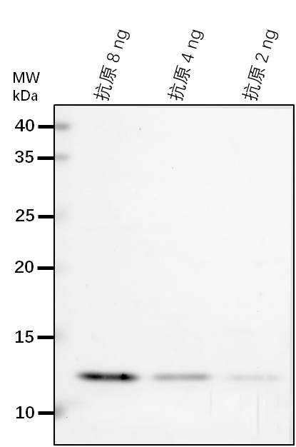 Anti-GLY1/ Glycerol-3-phosphate dehydrogenase [NAD(+)]