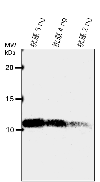 Anti-AL4/ PHD finger protein ALFIN-LIKE 4